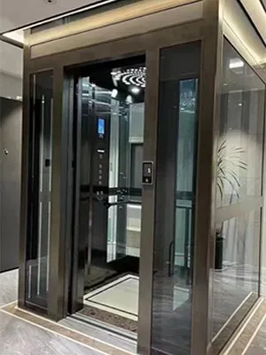 customize the design of glass door elevators customize the design of glass door elevators